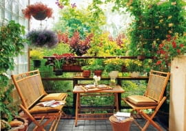 Nawałnica pelargonii i lobelii, kaskady petunii i surfinii... Innymi słowy - prawdziwa powódź. Na szczęście zupełnie niegroźna dla nas i naszego dobytku. Mowa przecież o powodzi kwiatów i barw, w jakiej mogą tonąć latem nasze balkony. Sielski obrazek tuż za oknami: czerwone bratki, żółty kroplik, fioletowa lobelia i czerwona diascja. Na drugim planie: żółty wiciokrzew i fioletowy klematis.