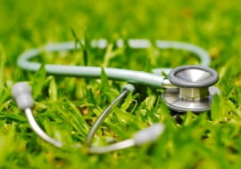 Pielęgnacja trawnika po zimie