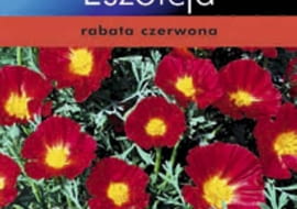 Nasiona roślin jednorocznych