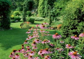 Ogród na rozstajach