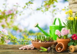 Wiosenne kwiaty w doniczkach na balkonie.