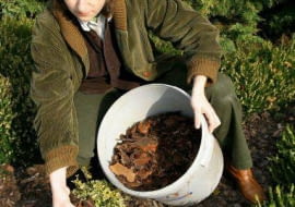 12.10.2005 WARSZAWA BYLINIARNIA SZKOLA GLOWNA GOSPODARSTWA WIEJSKIEGO ( SGGW ) PRACE OGRODOWE PORZADKOWE KROK PO KROKU JESIEN AGNIESZKA ZELAZKO FOT. WOJCIECH SURDZIEL / AGENCJA GAZETA KWIETNIK NR 11 (143) - 11 2006 PUBLIKACJA KWIETNIK NR 12 (204) - 12 2011 SLOWA KLUCZOWE: OGRODNICTWO ROSLINY ZDJĘCIE DO WKŁADKI: KWIETNIK NR 11 (143) - CZASOPISMA