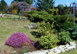 <Digimax S500 / Kenox S500 / Digimax Cyber 530>