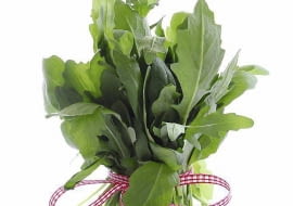 Liście rukoli wyróżniają się musztardowym posmakiem i zapachem