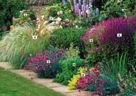 Border with Rosa 'La Ville de Bruxelles', Stipa barbata, Dianthus 'Laced Monarch' and Salvia x superba - The Garden House, Gloucestershire