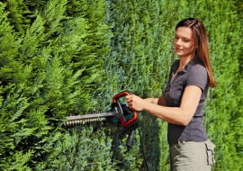 Przycinanie żywopłotu