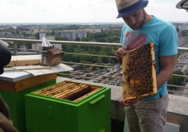 Otwarcie uli na budynku Eurocentrum w Warszawie