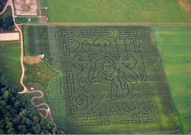 Tegoroczny labirynt w Kurozwękach. Wykonano go na polu kukurydzy, jest największy w Polsce