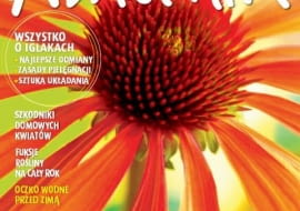 Kwietnik, numer listopadowy