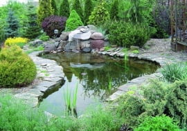 Oczko wodne po remoncie. O tym, by woda w zbiorniku była czysta, decyduje nie tylko system filtrowania i napowietrzania. Równie ważne jest solidne zabezpieczenie niecki i jej brzegów, by ze zbiornika nie ubywało wody. Dolewanie jej później prowadzi bowiem do zaburzenia równowagi biologicznej i rozwoju glonów.