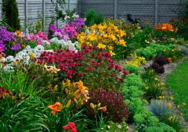 Oryginale kwiaty na bukiety