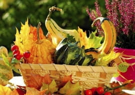 Jesienne aranżacje na balkony i tarasy