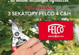 Konkurs w moim różanym ogrodzie