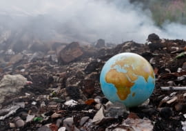 Dzień Ziemi. Zamiast wyrzucić na śmietnik wstawiamy do ogrodu.