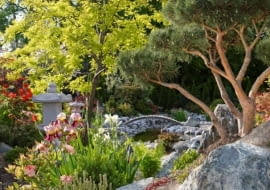 zdjęcia mogą być użyte tylko w artykule Ogród z Kraju Kwitnącej Wiśni - niekończąca się historia na serwisie Ogrody (czas publikacji: do 01.10.2007r)