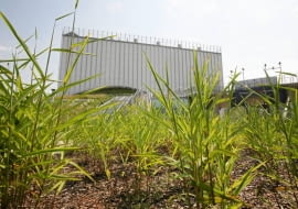 14.07.2011 BIALYSTOK , OPERA I FILHARMONIA PODLASKA PODCZAS WYKANCZANIA BUDOWY , FINANSOWANA M.INN . ZE SRODKOW UNIJNYCH I ZA PIENIADZE URZEDU MARSZALKOWSKIEGO . FOT . AGNIESZKA SADOWSKA / AGENCJA GAZETA A SLOWA KLUCZOWE: BUDOWA INWESTYCJA SRODKI UNIJNE PIENIADZE Z UNII EUROPEJSKIEJ PROJEKTA ARCHITEKTA MARKA BUDZYNSKIEGO PROJEKTANT MAREK BUDZYNSKI ARCHITEKT PROJEKT ARCHITEKTONICZNY ZDJĘCIE DO WKŁADKI: A