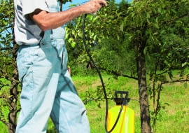 Resztki płynu pozostałe po wypłukaniu opakowań po preparatach wlewamy do opryskiwacza i spryskujemy nimi rośliny, na których stosowaliśmy te środki ostatnio.