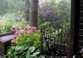 Ogród po deszczu. Stara kuta balustrada i nowy drewniany podest osnute mgiełką z pary wodnej wyglądają bardzo nostalgicznie.