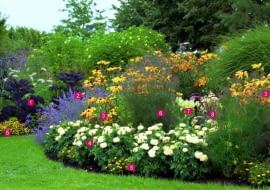 Summer border