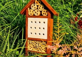Domek dla pszczół