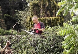 Usunięcie krzewów w wieku powyżej 10 lat także powinniśmy zgłosić do urzędu miasta lub gminy.