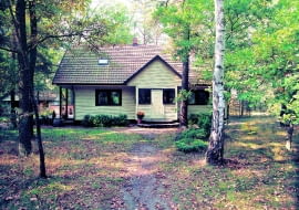 Dom w technologii szkieletu drewnianego