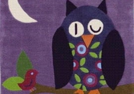 ...apelował Poeta. A my apelujemy - nie ograniczajmy się tylko do wróbelka, tylko kochajmy wszystkie ptaszki. I sowy, i pelikany, i kolibry, i czaple, i zimorodki. Wprawdzie nie śpiewają, ale to dobrze wyglądają i na poduszce, i jako łyżka do butów. Zawsze też możemy pofantazjować i zafundować sobie na ścianie całe stadko. Dywan JOY KIDS SOWA. Miękkie, kolorowe dywaniki dziecięce Joy to ozdoba pokojów naszych pociech. Zachęcają do zabawy, pobudzają wyobraźnię, a także stanowią dobrą izolację podczas dziecięcych harców. Łatwo usunąć z nich wszelkie zabrudzenia i kurz, dzięki czemu są szczególnie polecane dla małych alergików. Rozmiar: 130x130 cm, 499 zł., Komfort