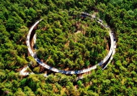 Ścieżka rowerowa w koronach drzew w Belgii. Proj. Burolanschap i Gregorio & Partners