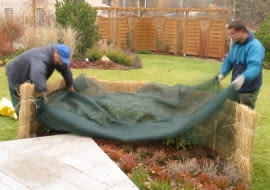 12.11.2003 ZALESINEK OGROD JESIEN OGRODOWE PRACE JESIENNE PRZYKRYWANIE KRZEWY LISCIASTE MATA OCHRONNA ZABEZPIECZENIE ROSLIN OKRYWANIE PRZED ZIMA DO PISMA KWIETNIK ARANZACJA PANI DANUTA MLOZNIAK FOT. PAWEL SLOMCZYNSKI / AGENCJA GAZETA PUBLIKACJA KWIETNIK NR 11 (131) - 11.2005