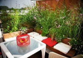 17.08.2012 WARSZAWA SESJA OGRODY NA DACHU TARAS NA ZDJECIU STYLIZACJA ZUZANNA WICIEJOWSKA DLA CZASOPISMA MAGNOLIA FOT. TATA STUDIO / TEL 0501255063 SLOWA KLUCZOWE: TARAS