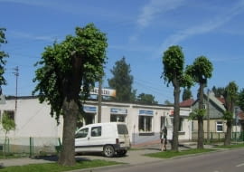 Lipy na Podlasiu - wierzcie na słowo.