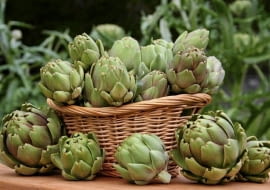 Kwiatostan karczocha to wytworne, niskokaloryczne warzywo i naturalny afrodyzjak