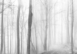 Wystawa 'Vita Contemplativa' - Architektur Galerie Berlin