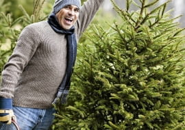 Cięta choinka nie musi być zbyt duża. Ważne, by miała ładny, regularny pokrój i była żywozielona