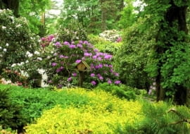 arboretum Wojsławice