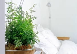 ONE TIME USE ONLY DO JEDNOKROTNEJ PUBLIKACJI