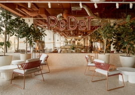 Pedet Renoma. Proj. 3XA