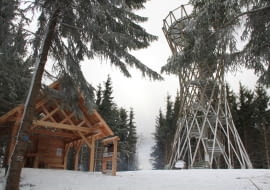 Wieża widokowa na szczycie Borowej Góry