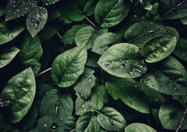 Światowy Dzień Wody