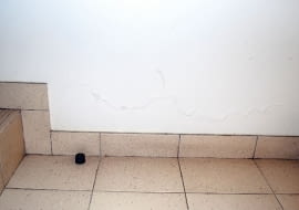 Łuszcząca się farba na ścianie przy podłodze parteru