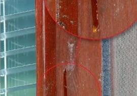 Żywica na drewnianym oknie