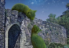 Kocie topiary