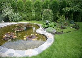 Oczko wodne w ogrodzie krok po kroku