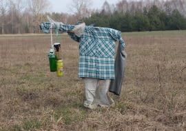 Strach na wróble - aranżacja jednej z naszych czytelniczek