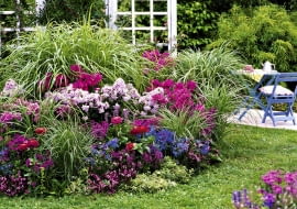 rabata z trawami i kwiatami