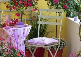 Vorher - Nachher - Balkon : Rosa ( Rosen ), St mmchen und Busch, unterpflanzt mit Allyssum ( Duftsteinrich ) und Gypsophila ( Schleierkraut ), Spartina ( Schlickgras ), Klappstuhl, gedeckter Tisch 61016133 Vorher - Balkon SLOWA KLUCZOWE: gesamt 000 hoch Stuhl Balkon gelb draussen Sommer rot Gras Sitzplatz Topf Dekoration