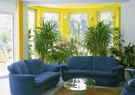 ORANZERIA STOL SOFA KANAPA OKNO PALMA JUKA YUCCA FOT. LILIANNA SOKOLOWSKA PUBLIKACJA KWIETNIK NR 5 (137) - 5.2006 SLOWA KLUCZOWE: ROSLINY WNETRZA MEBLE XNO ZDJĘCIE DO WKŁADKI: PUBLIKACJA KWIETNIK NR 5 (137) - CZASOPISMA