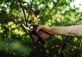 Sekator jednoręczny