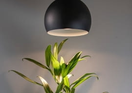 Lampa Aura