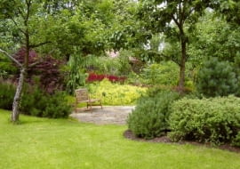 Placyk 'patelnia'. Wyizolowany, nasłoneczniony zakątek otoczony krzewami posadzonymi na nasypie.